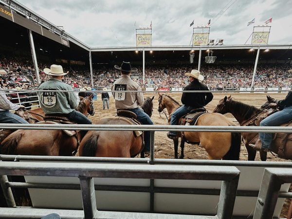 Welche Nahrungsergänzungsmittel fördern das Muskelwachstum?